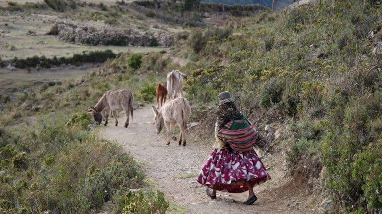 Una-donna-segue-i-suoi-asini-con-un-carico-di-legna-sule-spalle-life is a travel