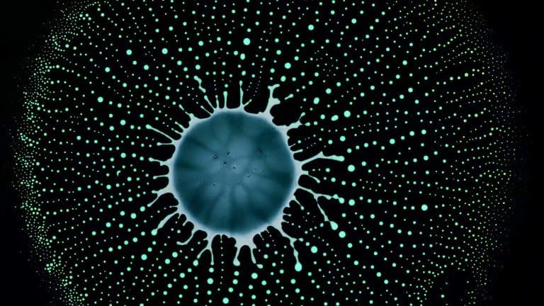 radiolarians-roman-de-giuli2