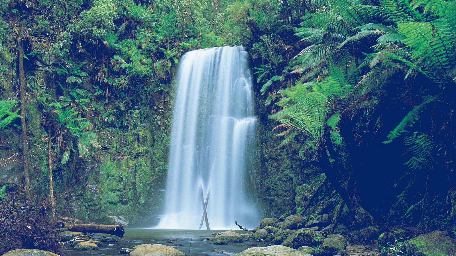 Foto più belle della settimana: Le Cascate