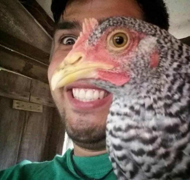 Metà pollo metà uomo