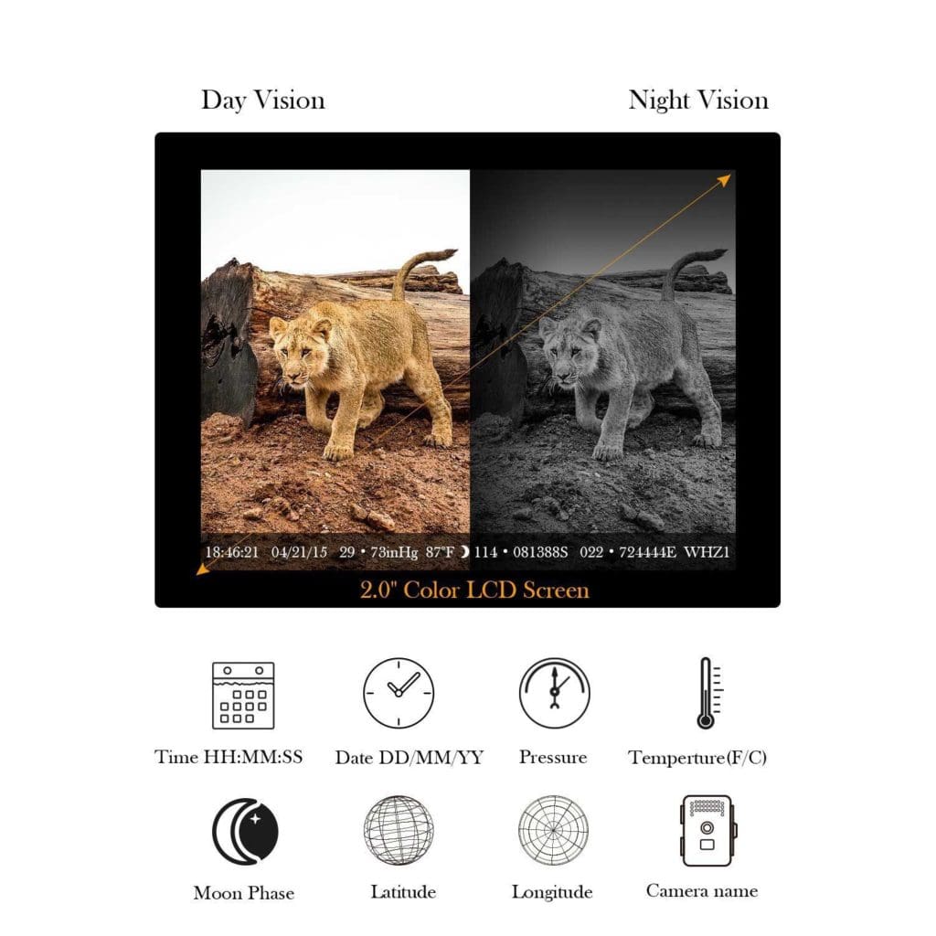 Tech Bean 12 Mp Visione notturna