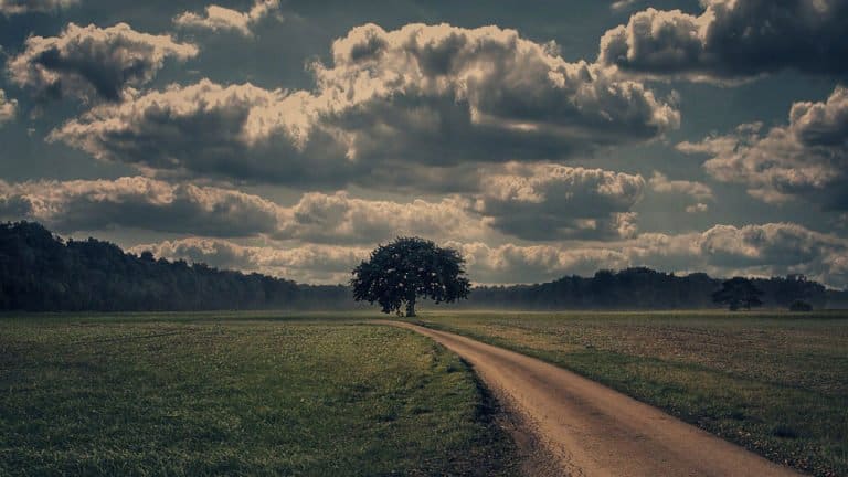 Cosa rende le fotografie belle?