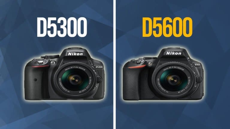 Confronto tra Nikon D5300 vs D5600