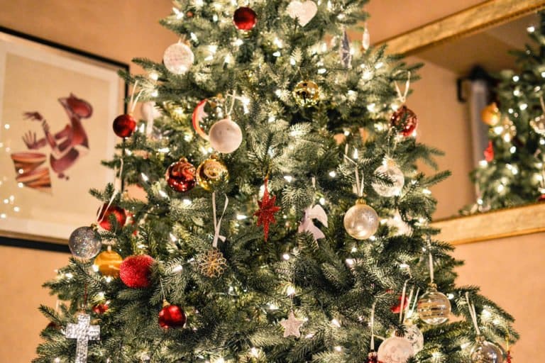 Come fotografare l'albero di natale
