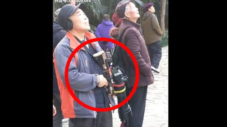 Fotografare gli uccelli in modo creativo
