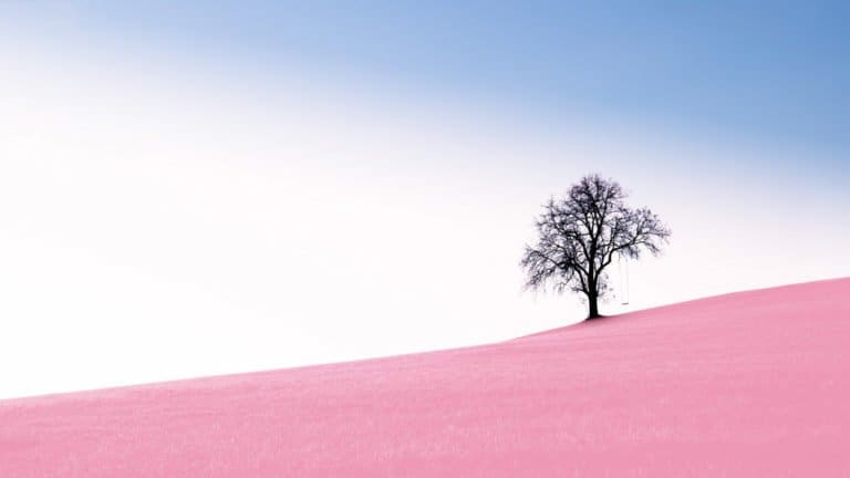 Guida alla fotografia minimalista