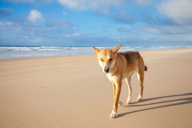 Queensland Australia