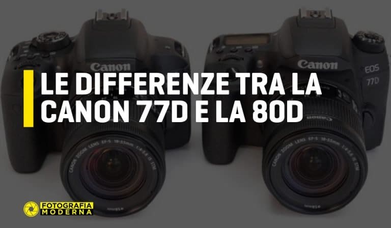 canon-77d-vs-80d