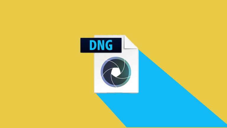 formato-dng