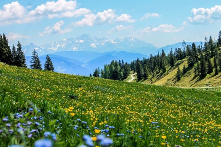 Come dare profondità alle foto