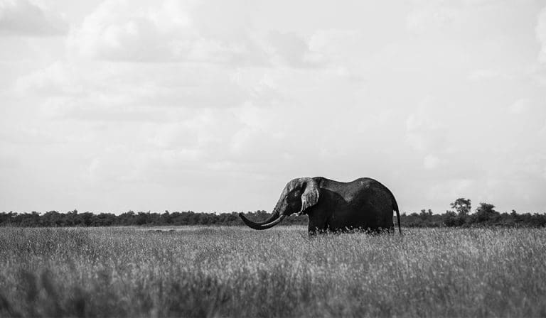 Frasi sulle fotografie in bianco e nero