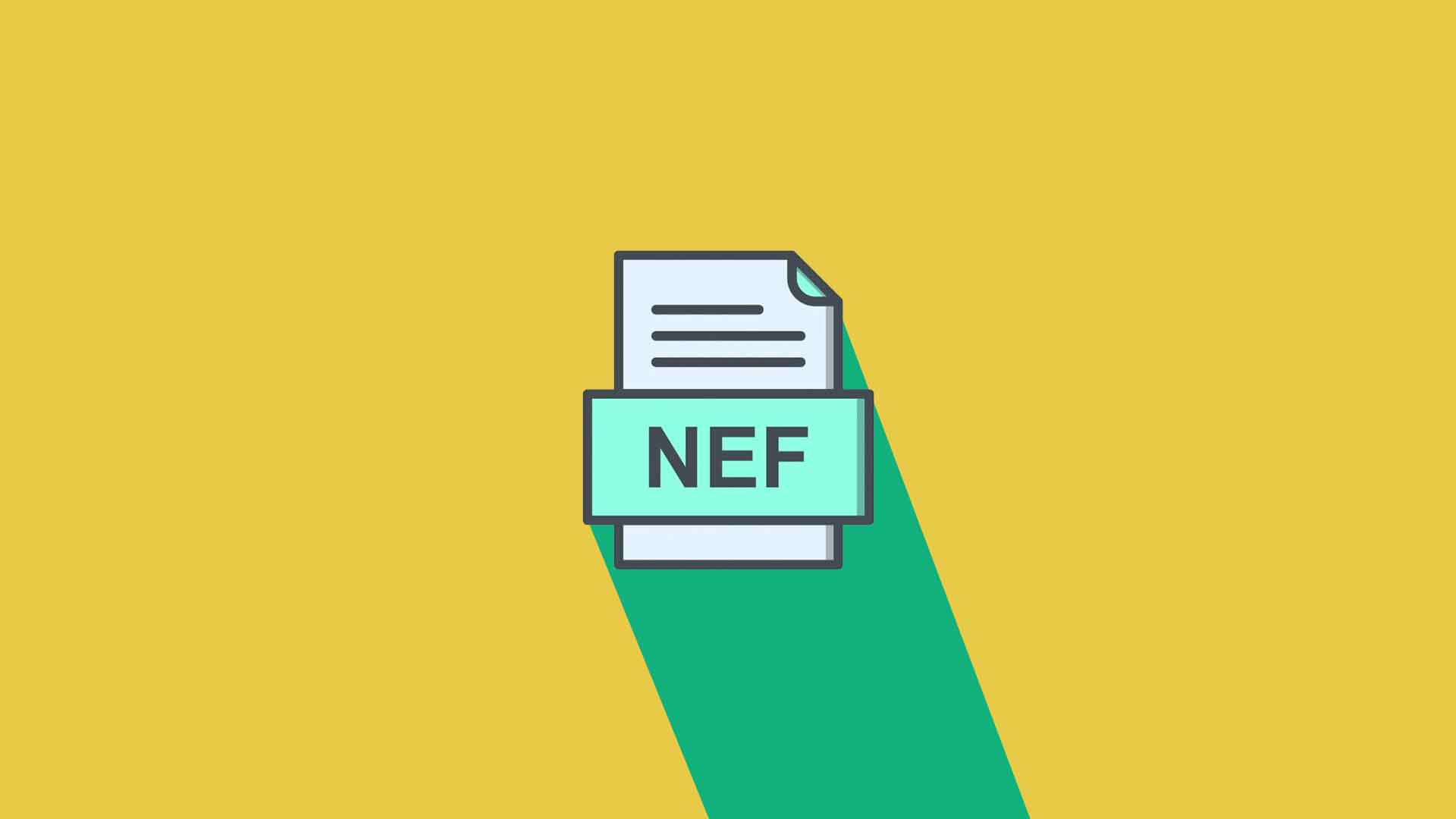 formato-nef