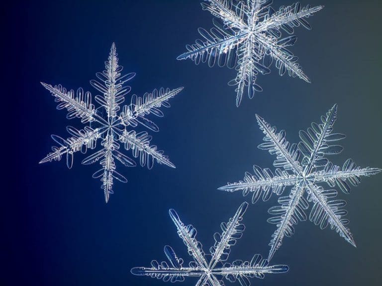 Foto di fiocchi di neve di Nathan Myhrvold