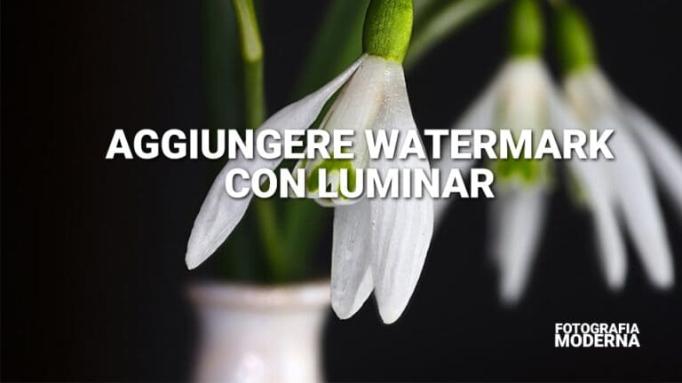Come aggiungere watermark con Luminar