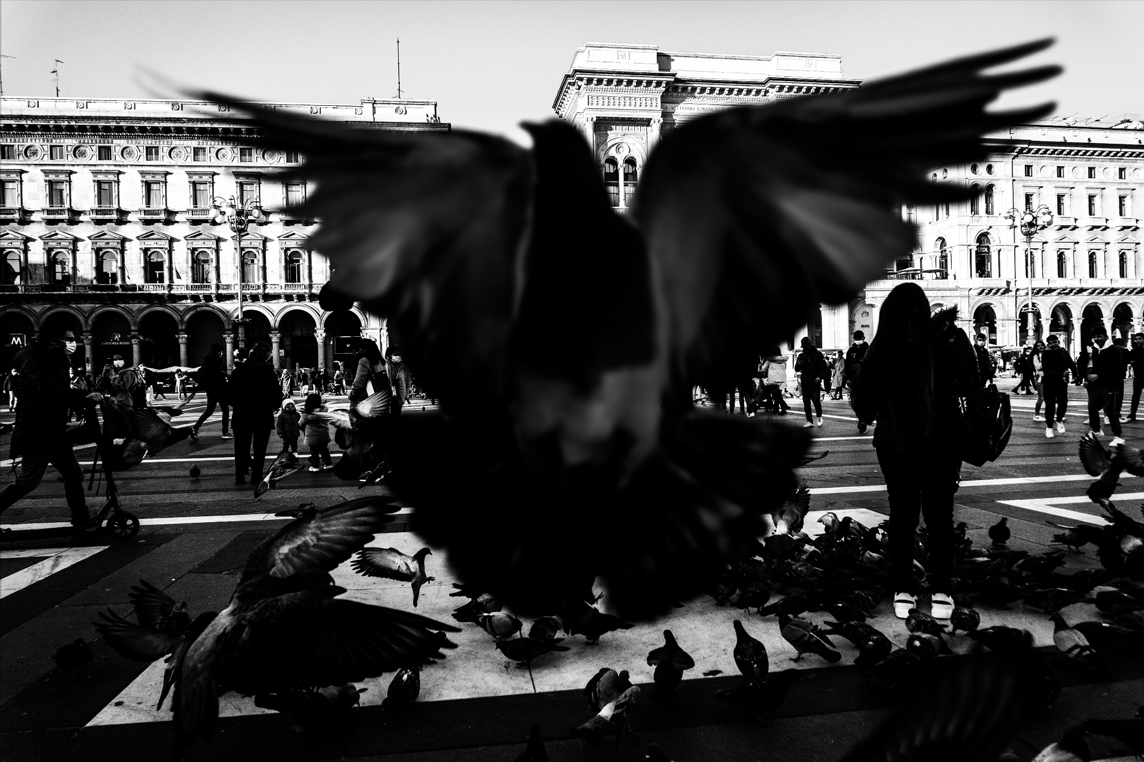 Foto di Andrea Stillone