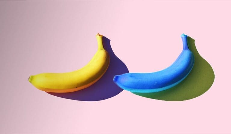Come cambiare colore su Photoshop