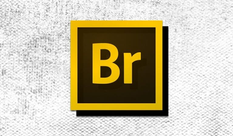 Adobe Bridge Tutorial