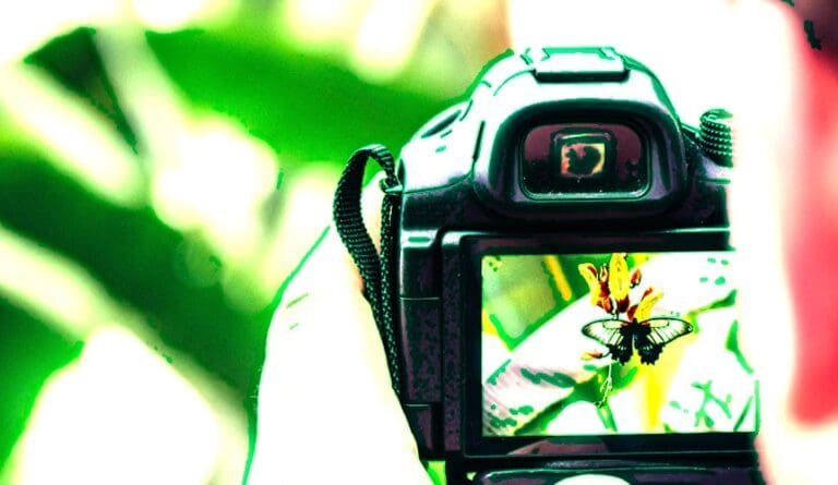 Cosa dovrebbero avere le fotocamere