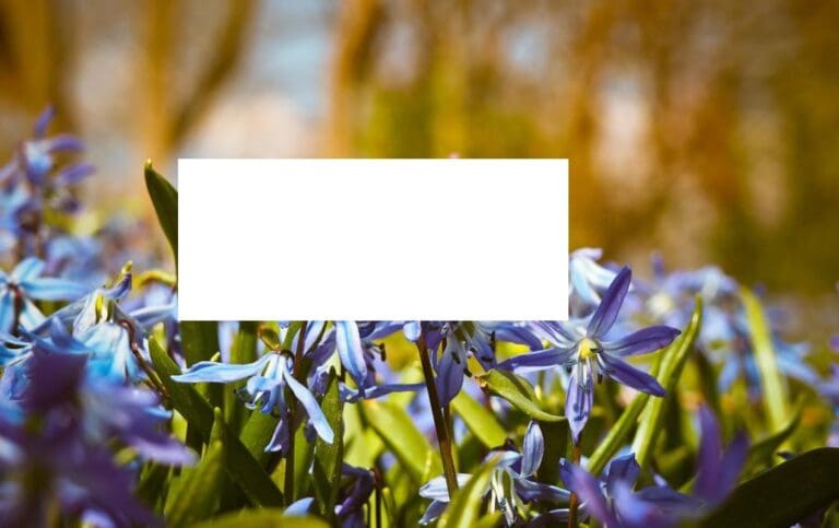 immagine trasparente paint