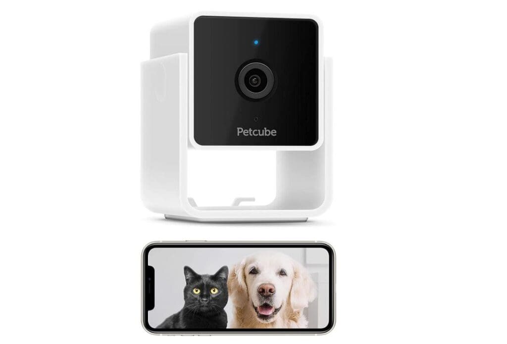 petcube action cam
