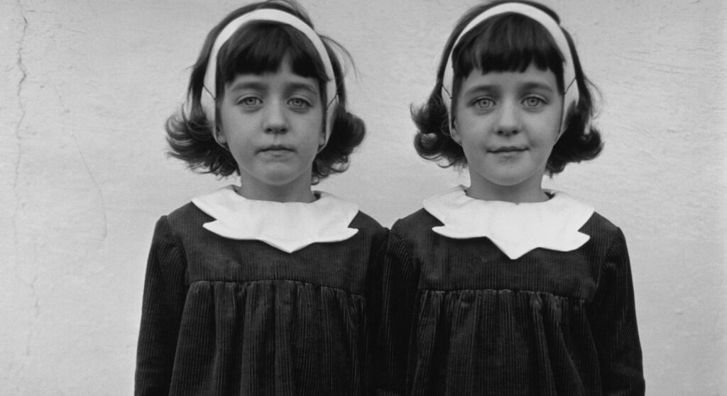 diane arbus twin min
