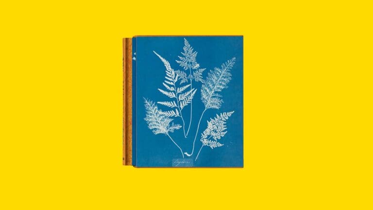 anna-atkins-cyanotypes