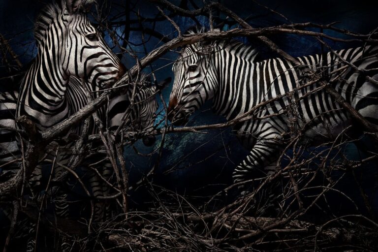 Mario Testino Gone Wild (3)