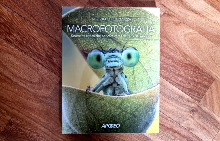 alberto-panizza-macrofotografia