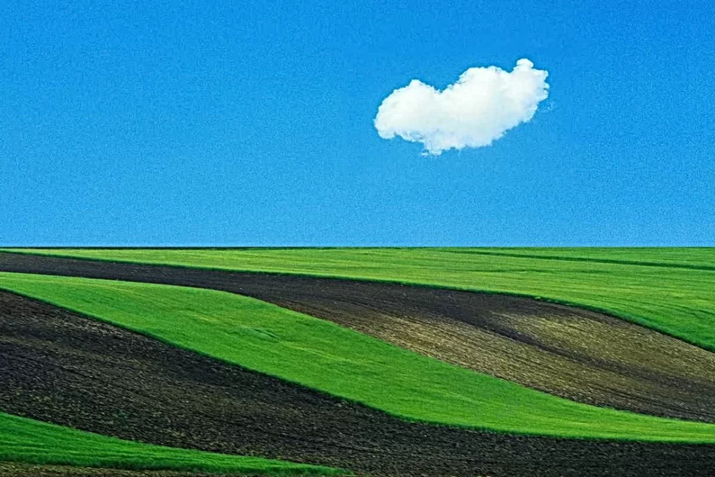 Foto di Franco Fontana 3