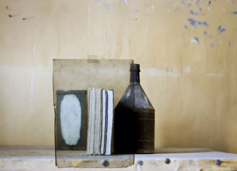 Mary Ellen Bartley al Museo Morandi di Bologna