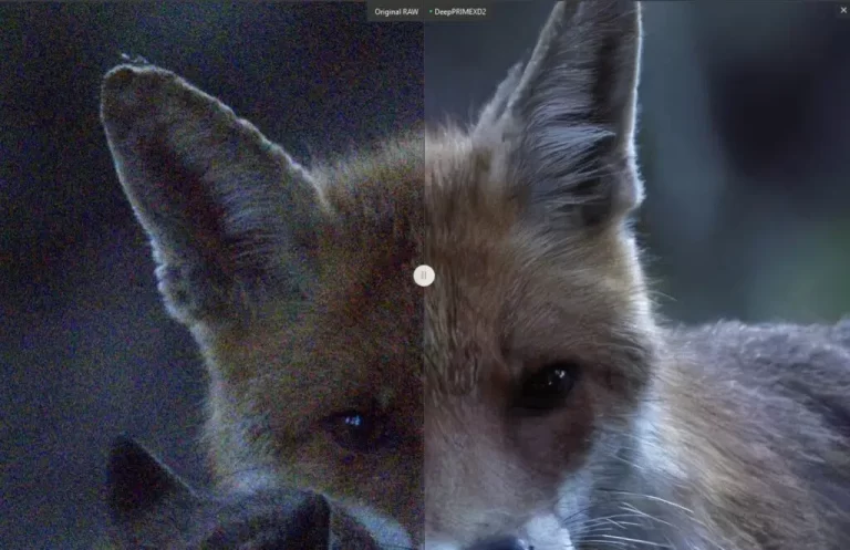 DxO PureRAW 4: Denoising a un nuovo livello