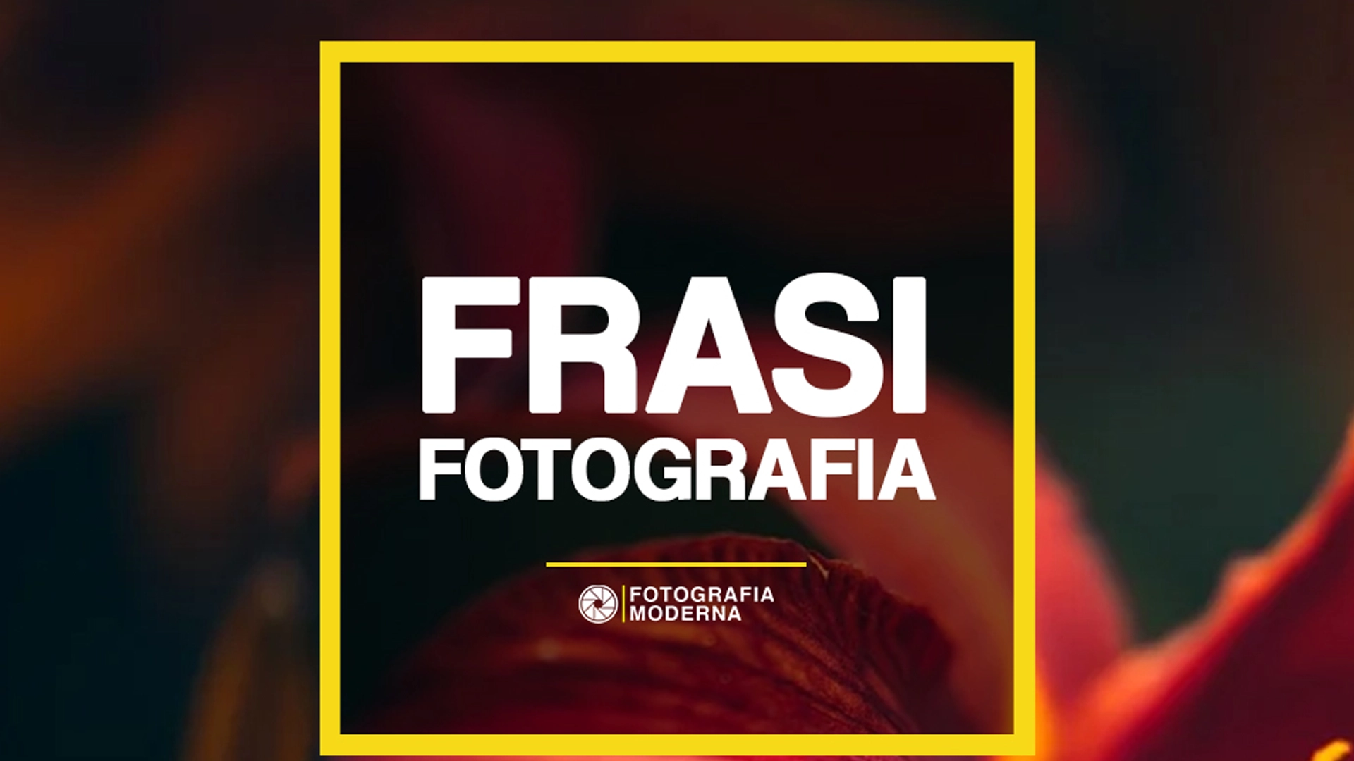 frasi sulla fotografia