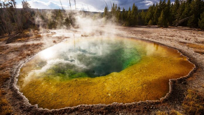 yellowstone fotografo arrestato