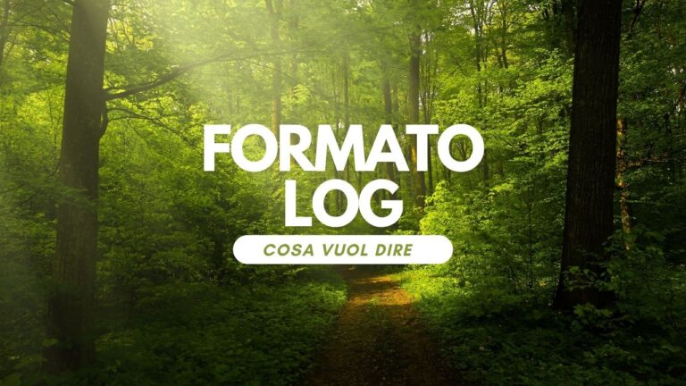 cosa vuol dire formato log