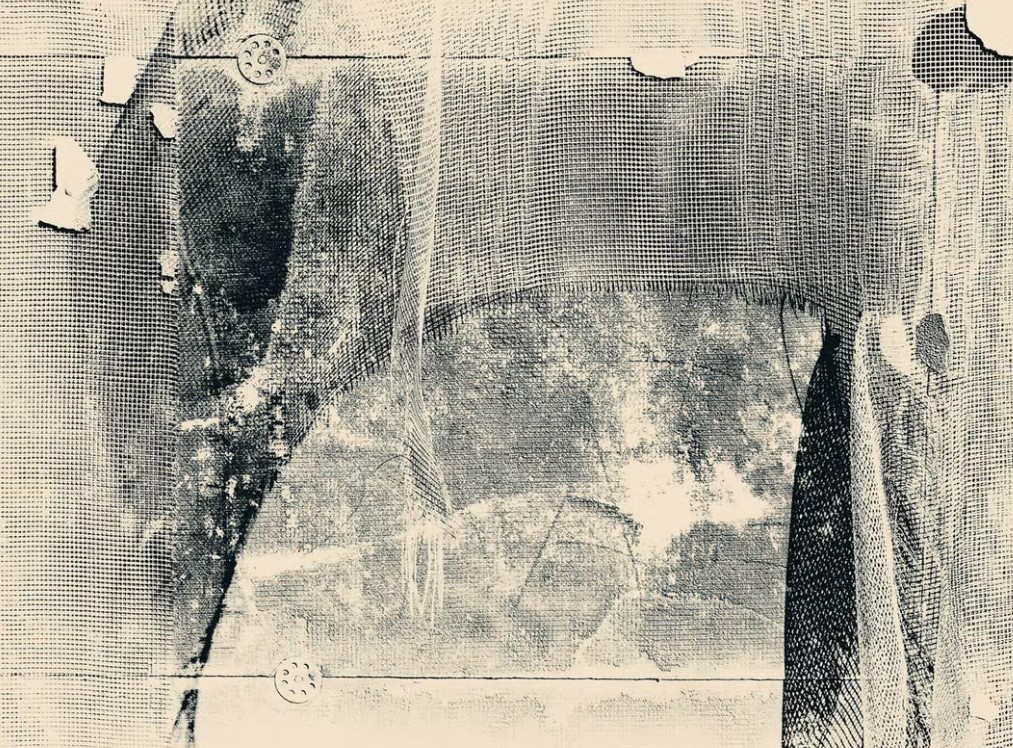 foto paolo bonfiglio