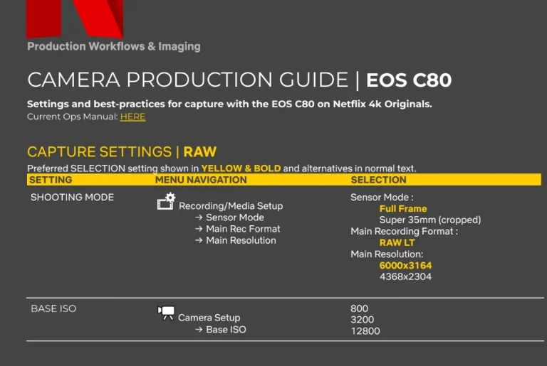 canon c80 approvata da netflix