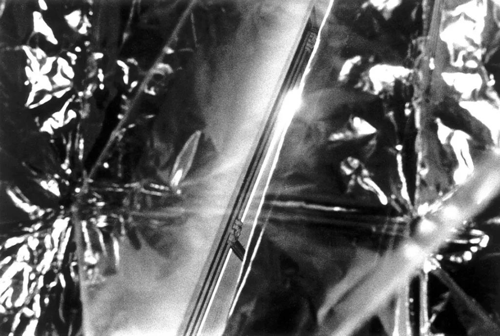 Foto di Keiichi Tahara