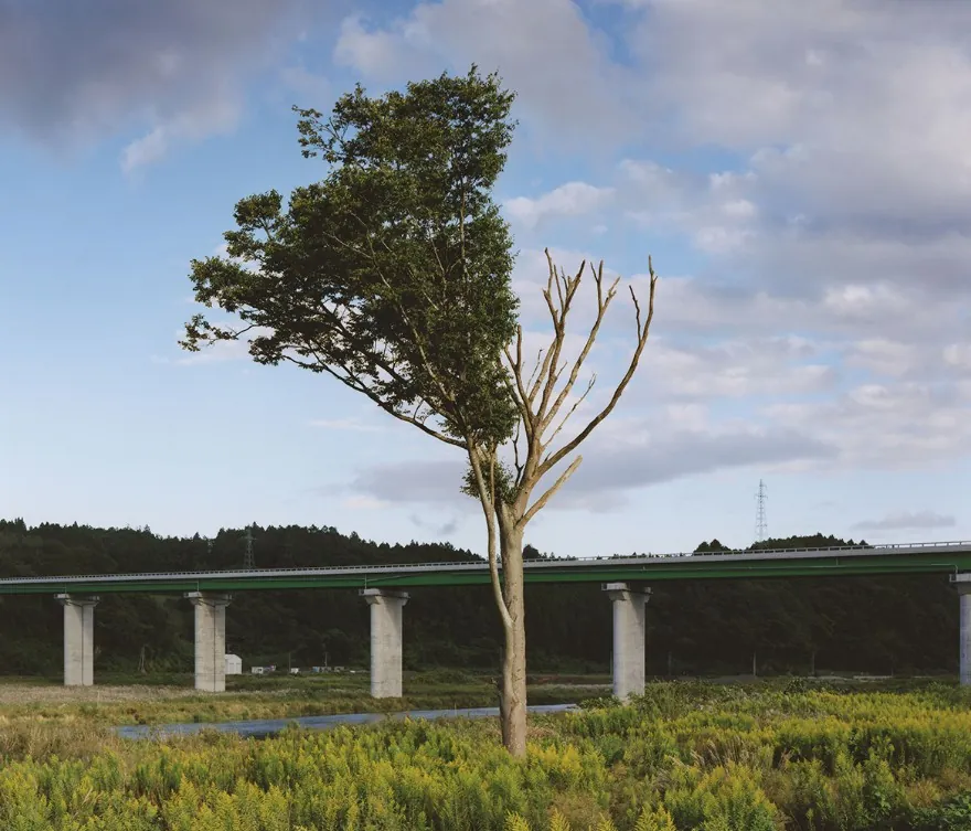 Foto di Naoya Hatakeyama