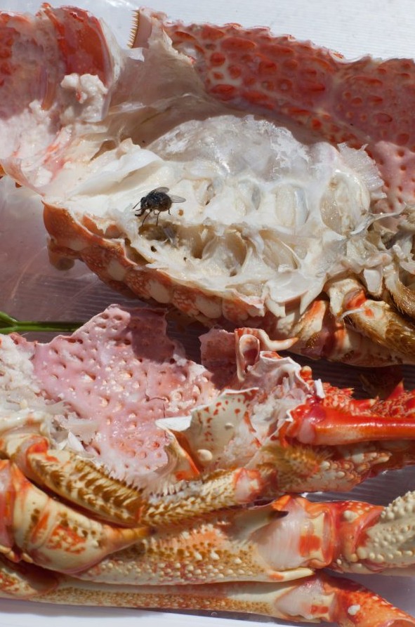 Foto di Wolfgang Tillmans