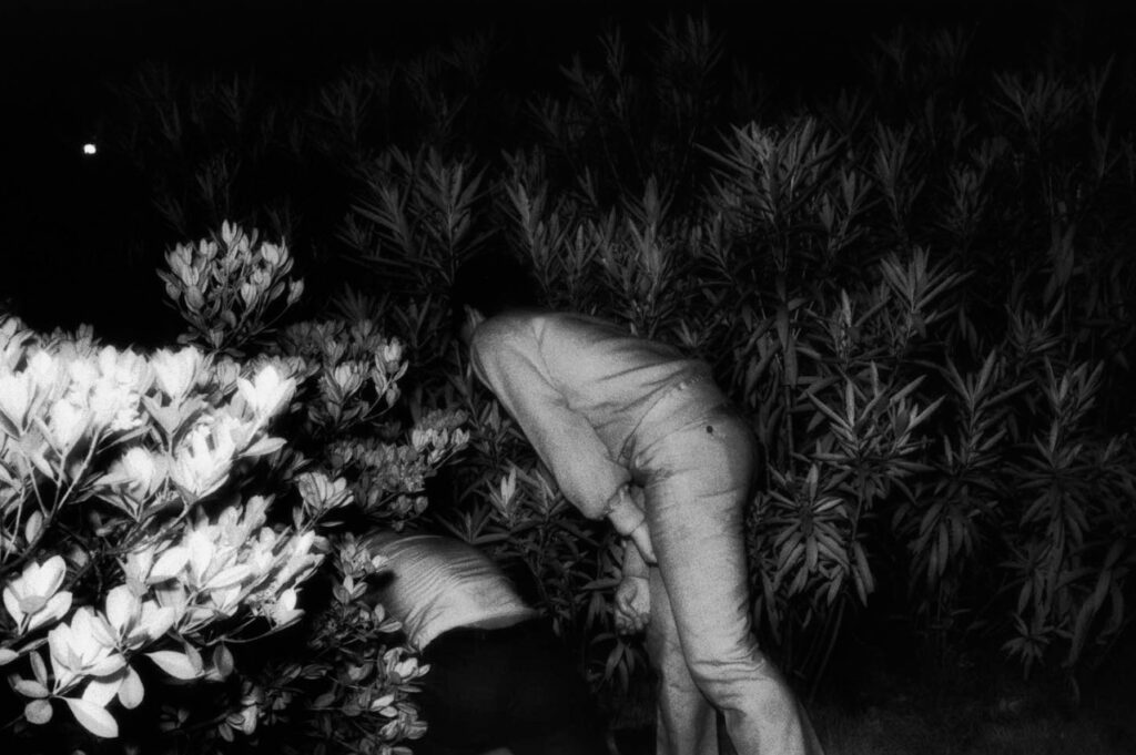 Foto di Kohei Yoshiyuki del progetto The Park