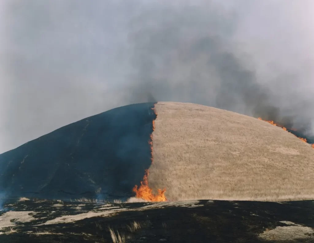 Foto di un incendio di Rinko Kawauchi