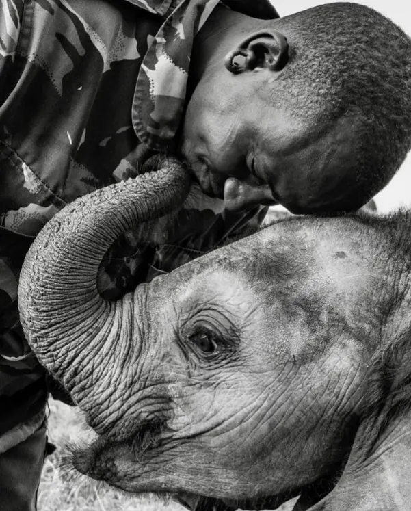 fotografia di paul nicklen di un africano con un elefante