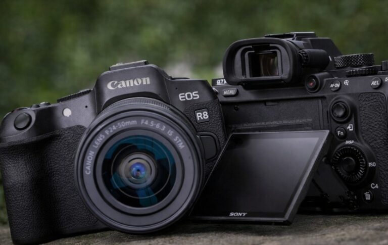 Canon R8 vs Sony A7 III