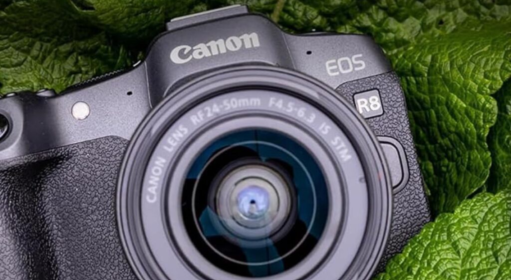 canon r8