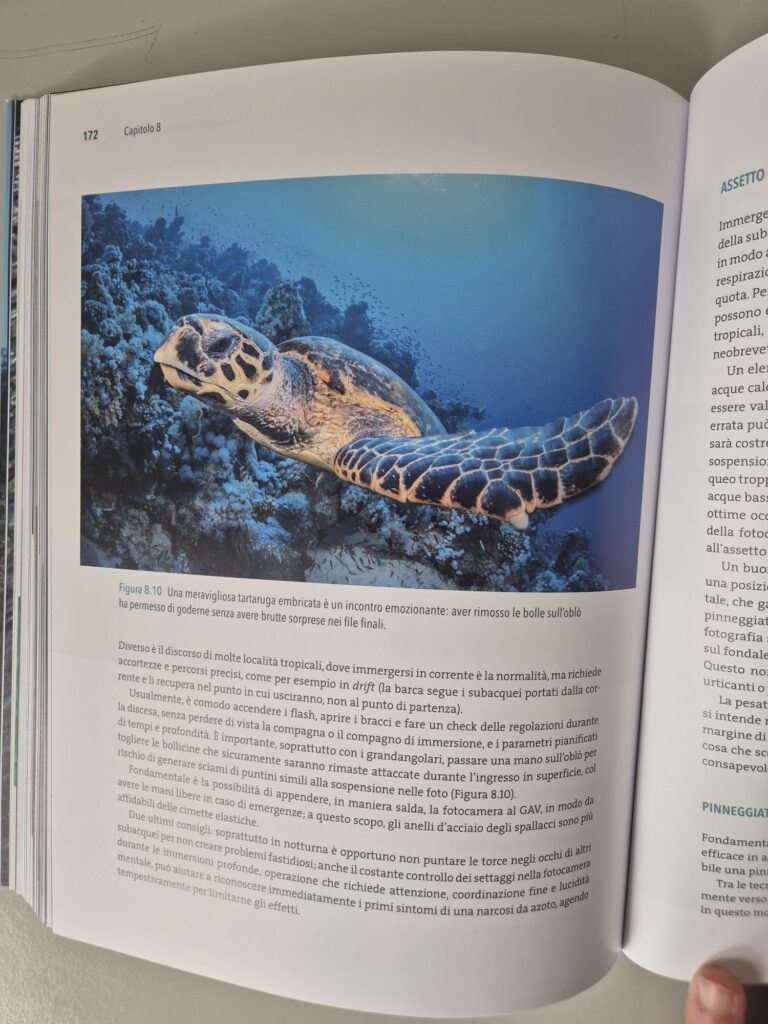 recensione fotografia subacquea di pietro formis e marco colombo 1