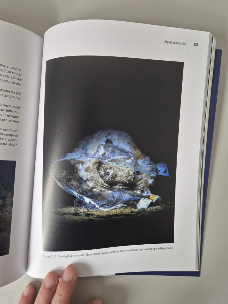 recensione fotografia subacquea di pietro formis e marco colombo 2