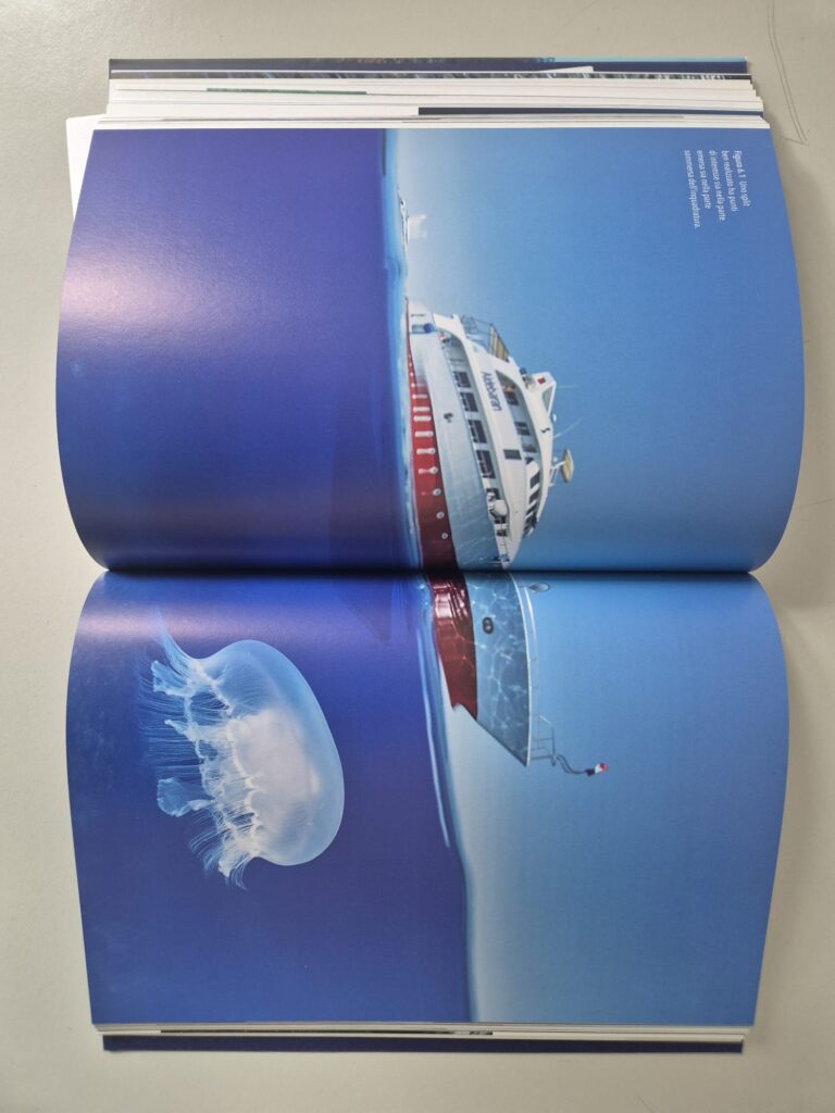 Foto del libro Fotografia Subacquea di Marco Colombo e Pietro Formis