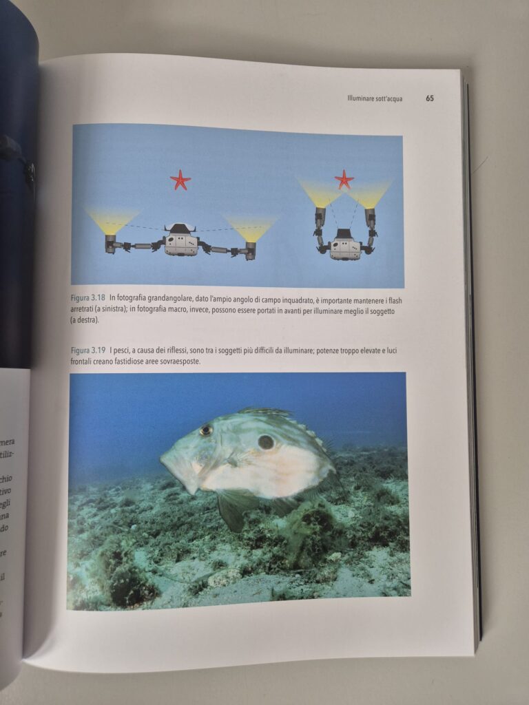 recensione fotografia subacquea di pietro formis e marco colombo 5